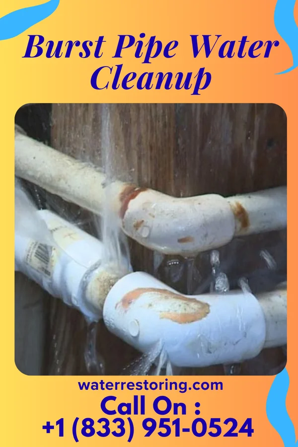 Burst Pipe Water Cleanup in Perryville, KY