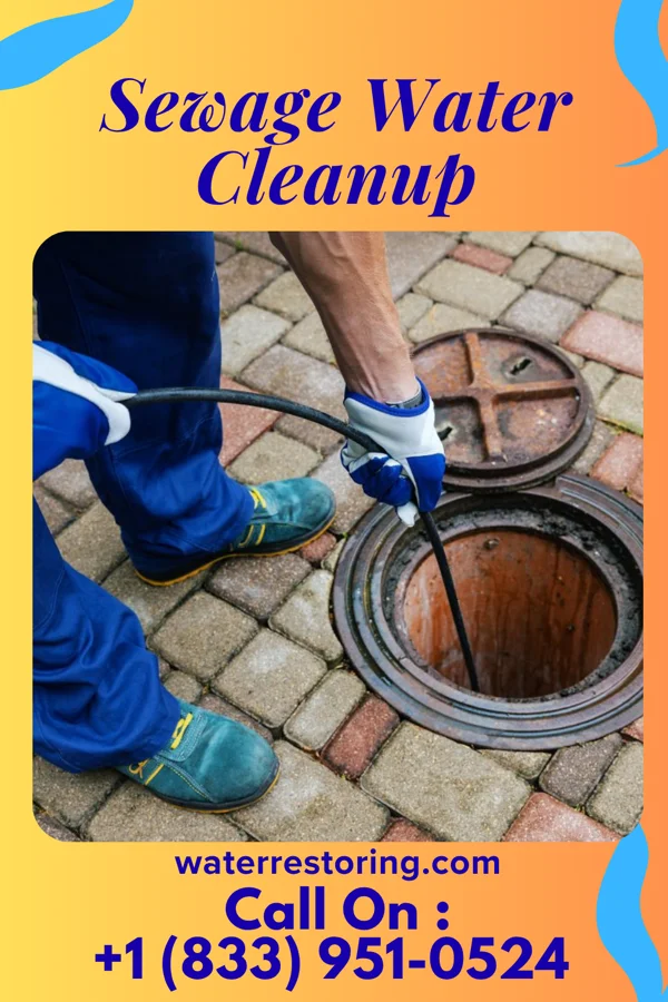 Sewage Water Cleanup in Perryville, KY